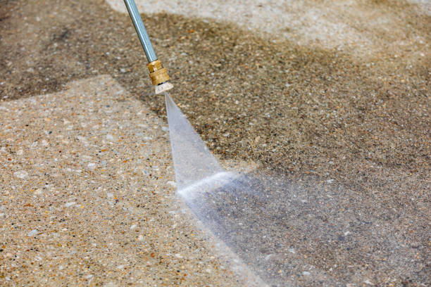 Best Sidewalk and Walkway Cleaning  in Dubuque, IA
